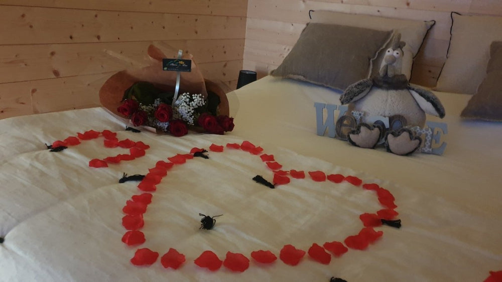 AU NID COSY D'ISA **** - Love’nSpa - weekend en amoureux, love rooms avec spa ou jacuzzi privatif12 de AU NID COSY D'ISA ****