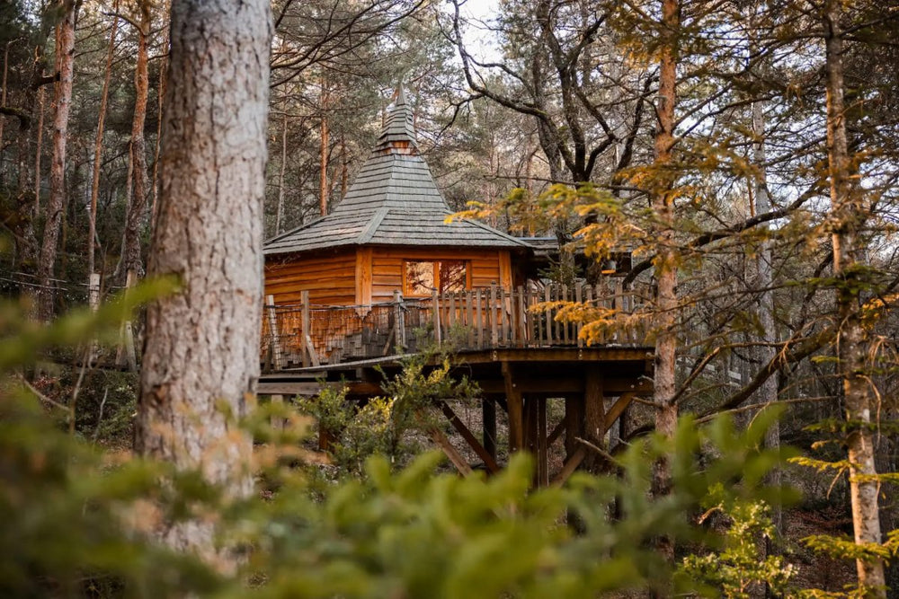 Cabane dans les arbres avec jacuzzi privatif - Aristoloche - Love’nSpa - weekend en amoureux, love rooms avec spa ou jacuzzi privatif9 de Cabane dans les arbres avec jacuzzi privatif - Aristoloche