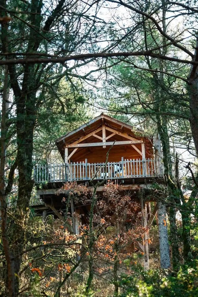 Cabane dans les arbres avec jacuzzi privatif - Bois d'Arambe - Love’nSpa - weekend en amoureux, love rooms avec spa ou jacuzzi privatif22 de Cabane dans les arbres avec jacuzzi privatif - Bois d'Arambe