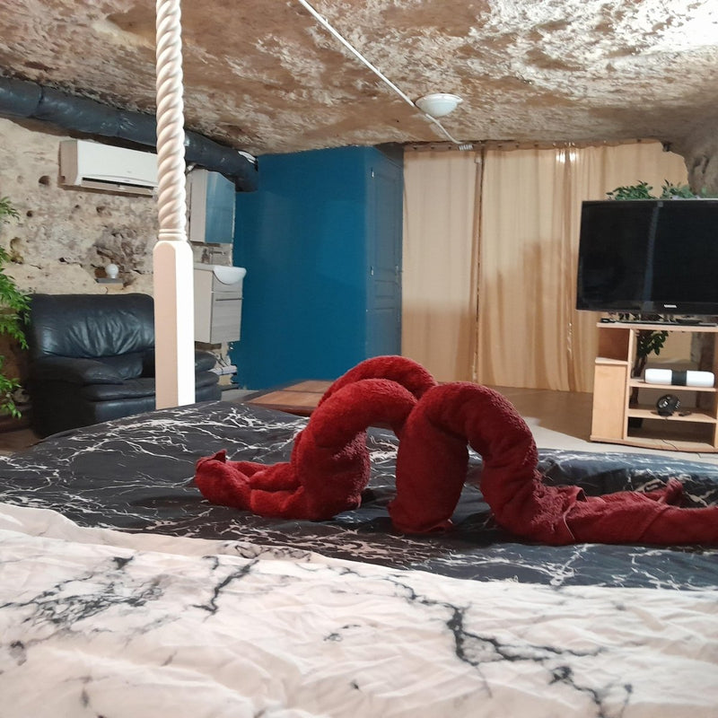 La Cave Secrète - Love’nSpa - weekend en amoureux, love rooms avec spa ou jacuzzi privatif3 de La Cave Secrète