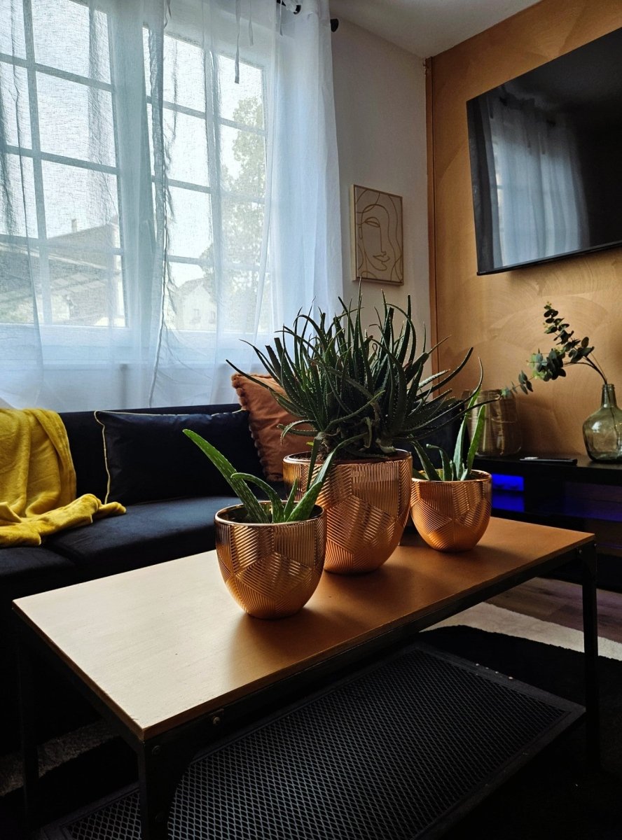 Le Murmure du Cosnier - Love’nSpa - weekend en amoureux, love rooms avec spa ou jacuzzi privatif4 de Le Murmure du Cosnier