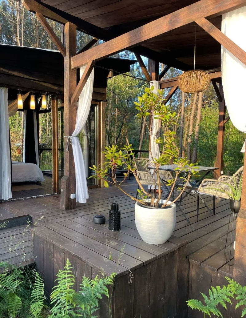 Les Landines - L'O2 de verre et de bois et son spa - Love’nSpa - weekend en amoureux, love rooms avec spa ou jacuzzi privatif1 de Les Landines - L'O2 de verre et de bois et son spa