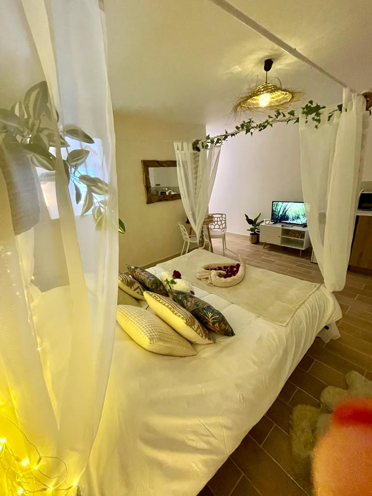 Lover's room Tropic - Love’nSpa - weekend en amoureux, love rooms avec spa ou jacuzzi privatif7 de Lover's room Tropic