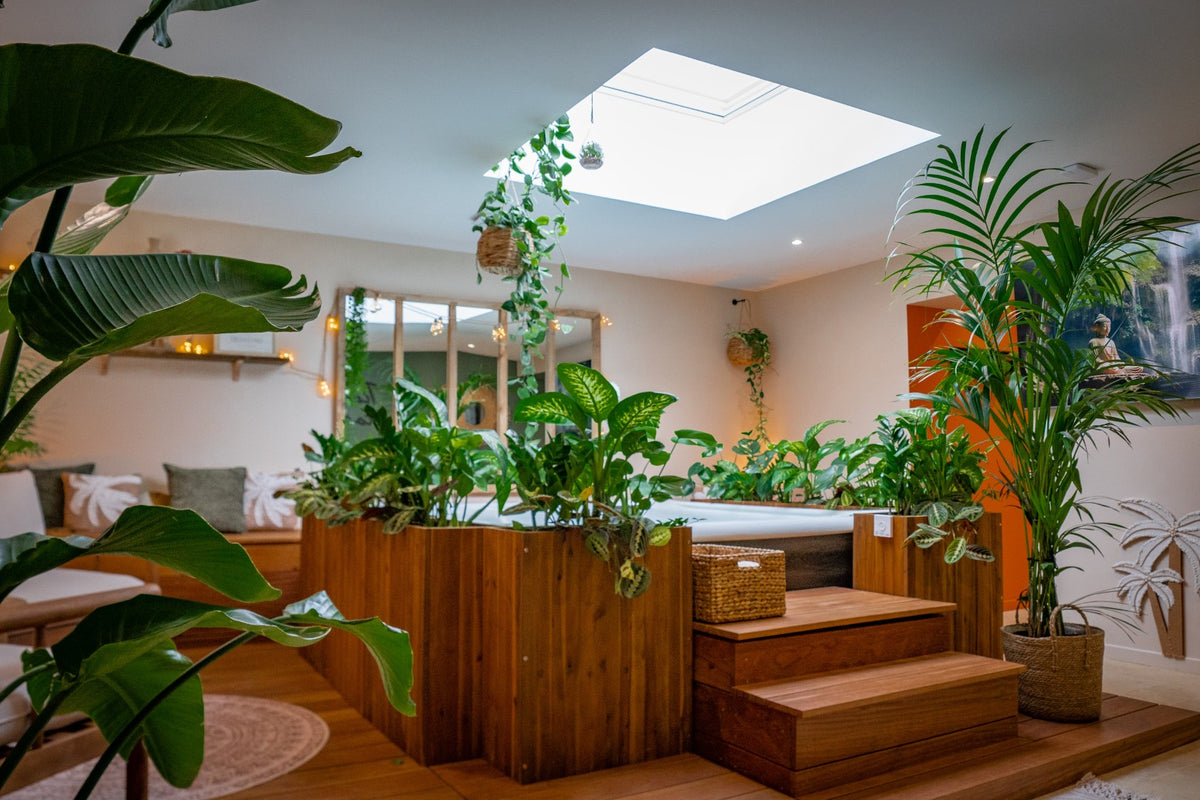 Trinidad Vibes - Love’nSpa - weekend en amoureux, love rooms avec spa ou jacuzzi privatifTrinidad Vibes