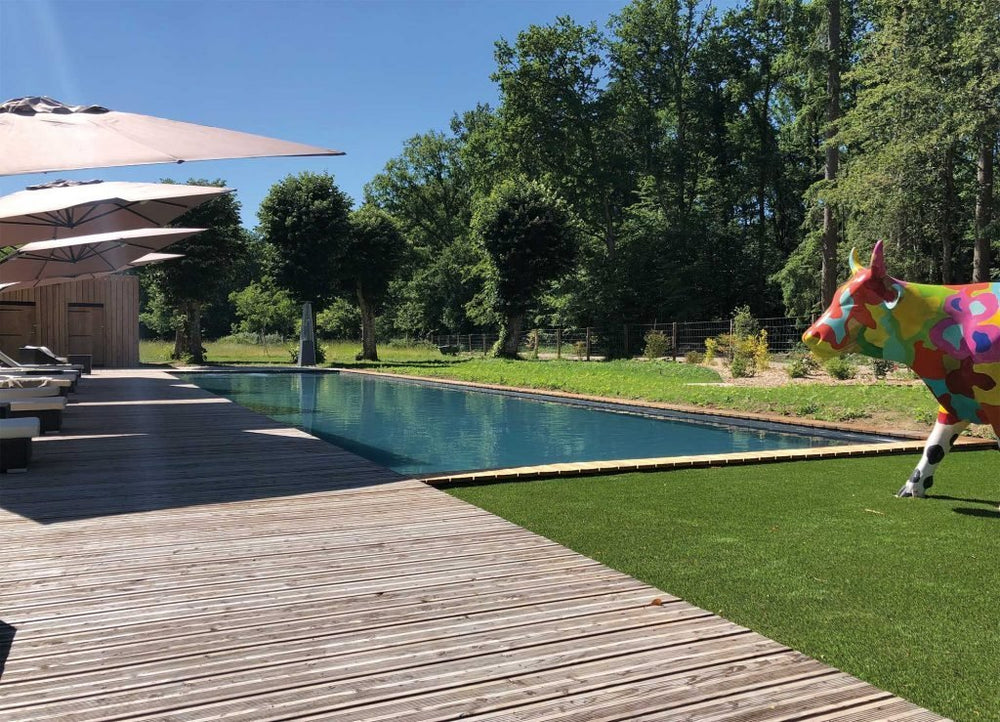 Loire Valley Lodge - Lodges design avec jacuzzi privé en terrasse - Uzume - Love’nSpa - weekend en amoureux, love rooms avec spa ou jacuzzi privatif6 de Loire Valley Lodge - Lodges design avec jacuzzi privé en terrasse - Uzume