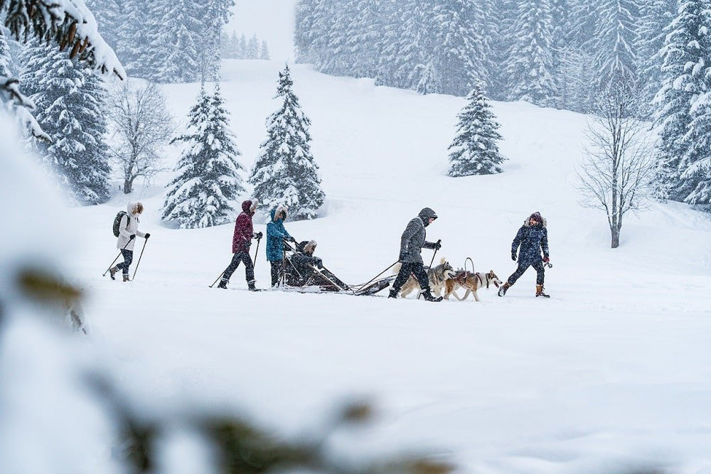 Gîte La Patte Nordic - Chalet Trappeur - Love’nSpa - weekend en amoureux, love rooms avec spa ou jacuzzi privatif11 de Gîte La Patte Nordic - Chalet Trappeur