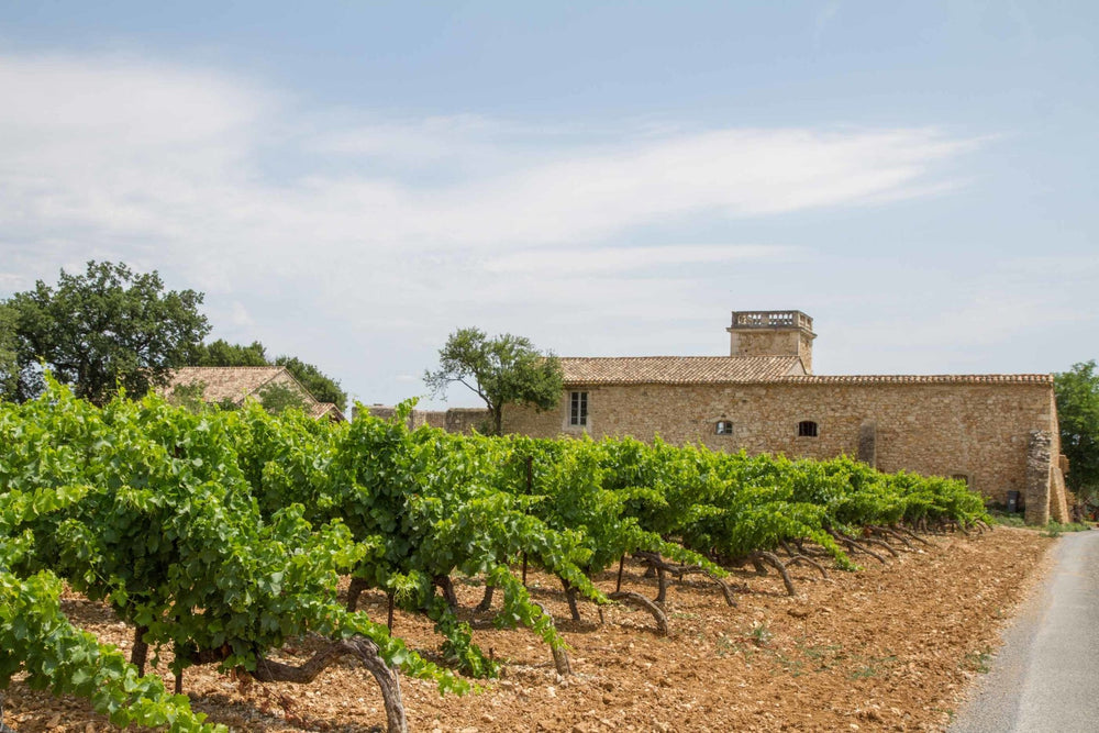 Le domaine Sainte Suzanne - Gite Nid d’amour La Folie - Love’nSpa - weekend en amoureux, love rooms avec spa ou jacuzzi privatif10 de Le domaine Sainte Suzanne - La Folie d’Amour