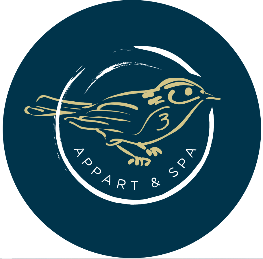 Les Sansonnets - L'Envol - Love’nSpa - weekend en amoureux, love rooms avec spa ou jacuzzi privatif8 de Les Sansonnets - L'Envol