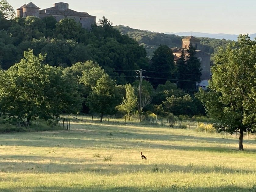 Trésors de Campagne -Cabane dans les bois « Dame du Château » avec jacuzzi privatif - Love’nSpa - weekend en amoureux, love rooms avec spa ou jacuzzi privatif6 de Trésors de Campagne - Lodge insolite Dame du Château avec jacuzzi privatif