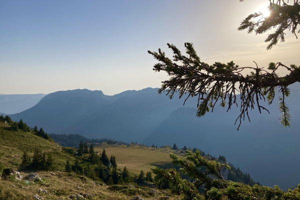 🌟 Nuit insolite Rhône-Alpes : 8 hébergements magiques pour un séjour hors du commun - Love’nSpa