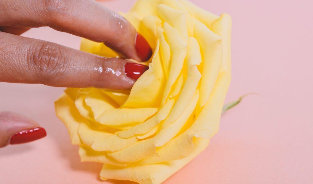 Orgasme clitoridien ou vaginal ? Sacrée question existentielle … - Love’nSpa