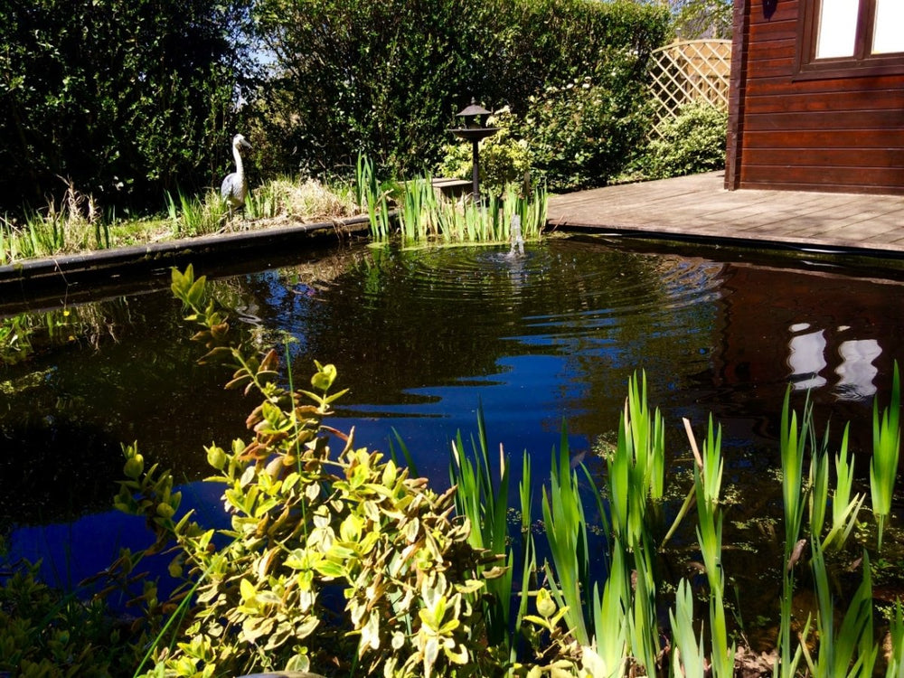 Au chalet d'Isa - Love’nSpa - weekend en amoureux, love rooms avec spa ou jacuzzi privatif9 de Au chalet d'Isa
