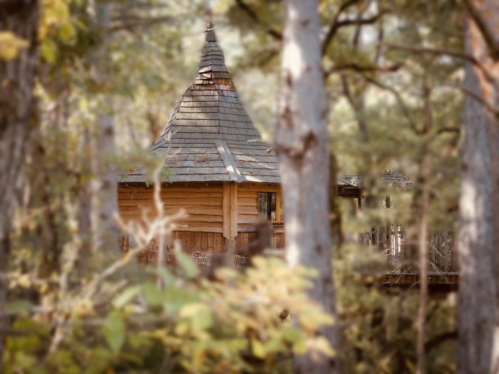 Cabane dans les arbres avec jacuzzi privatif - Aristoloche - Love’nSpa - weekend en amoureux, love rooms avec spa ou jacuzzi privatif12 de Cabane dans les arbres avec jacuzzi privatif - Aristoloche
