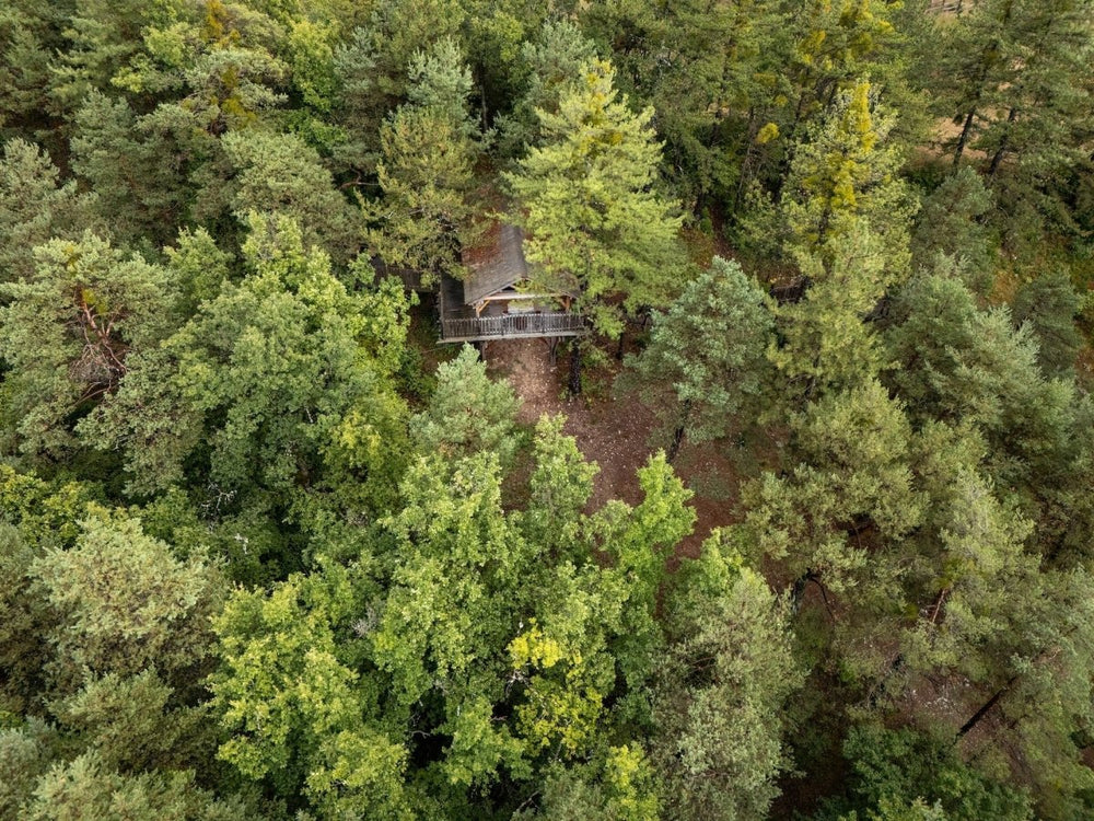 Cabane dans les arbres avec jacuzzi privatif - Bois d'Arambe - Love’nSpa - weekend en amoureux, love rooms avec spa ou jacuzzi privatif31 de Cabane dans les arbres avec jacuzzi privatif - Bois d'Arambe
