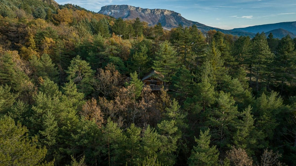 Cabane dans les arbres avec jacuzzi privatif - Bois d'Arambe - Love’nSpa - weekend en amoureux, love rooms avec spa ou jacuzzi privatif12 de Cabane dans les arbres avec jacuzzi privatif - Bois d'Arambe
