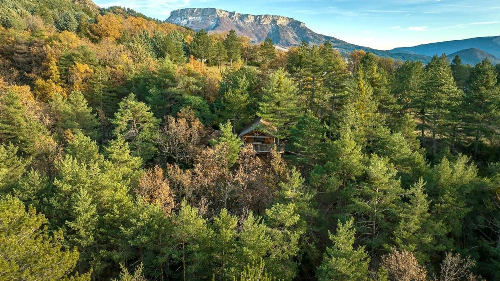 Cabane dans les arbres avec jacuzzi privatif - Bois d'Arambe - Love’nSpa - weekend en amoureux, love rooms avec spa ou jacuzzi privatif27 de Cabane dans les arbres avec jacuzzi privatif - Bois d'Arambe
