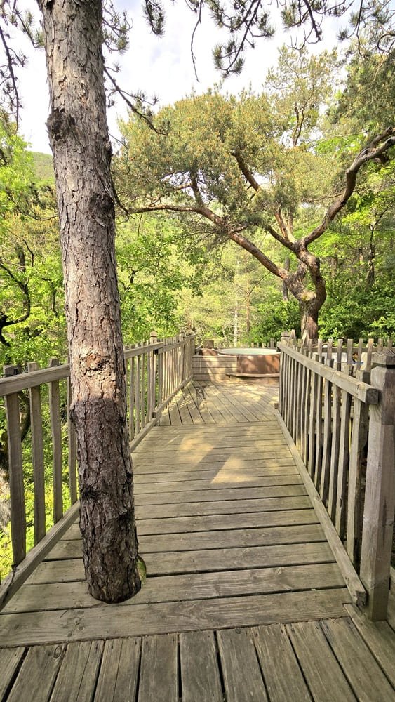 Cabane dans les arbres avec jacuzzi privatif - Bois d'Arambe - Love’nSpa - weekend en amoureux, love rooms avec spa ou jacuzzi privatif7 de Cabane dans les arbres avec jacuzzi privatif - Bois d'Arambe
