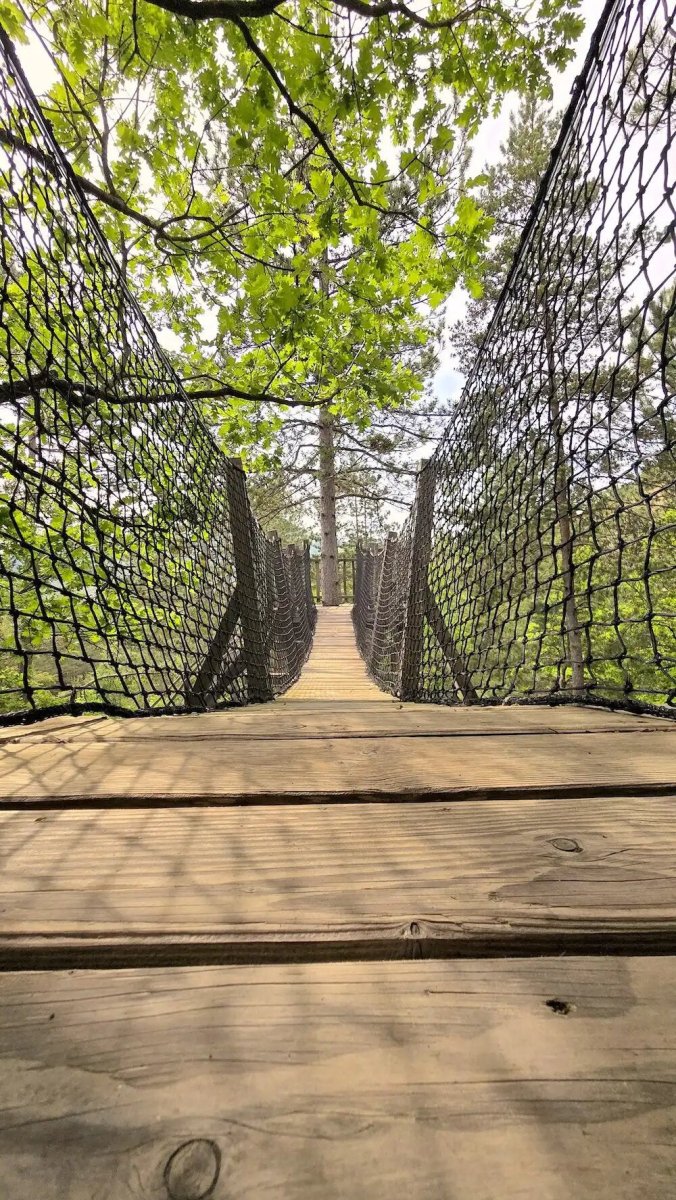 Cabane dans les arbres avec jacuzzi privatif - Épine Vinette - Love’nSpa - weekend en amoureux, love rooms avec spa ou jacuzzi privatif18 de Cabane dans les arbres avec jacuzzi privatif - Épine Vinette
