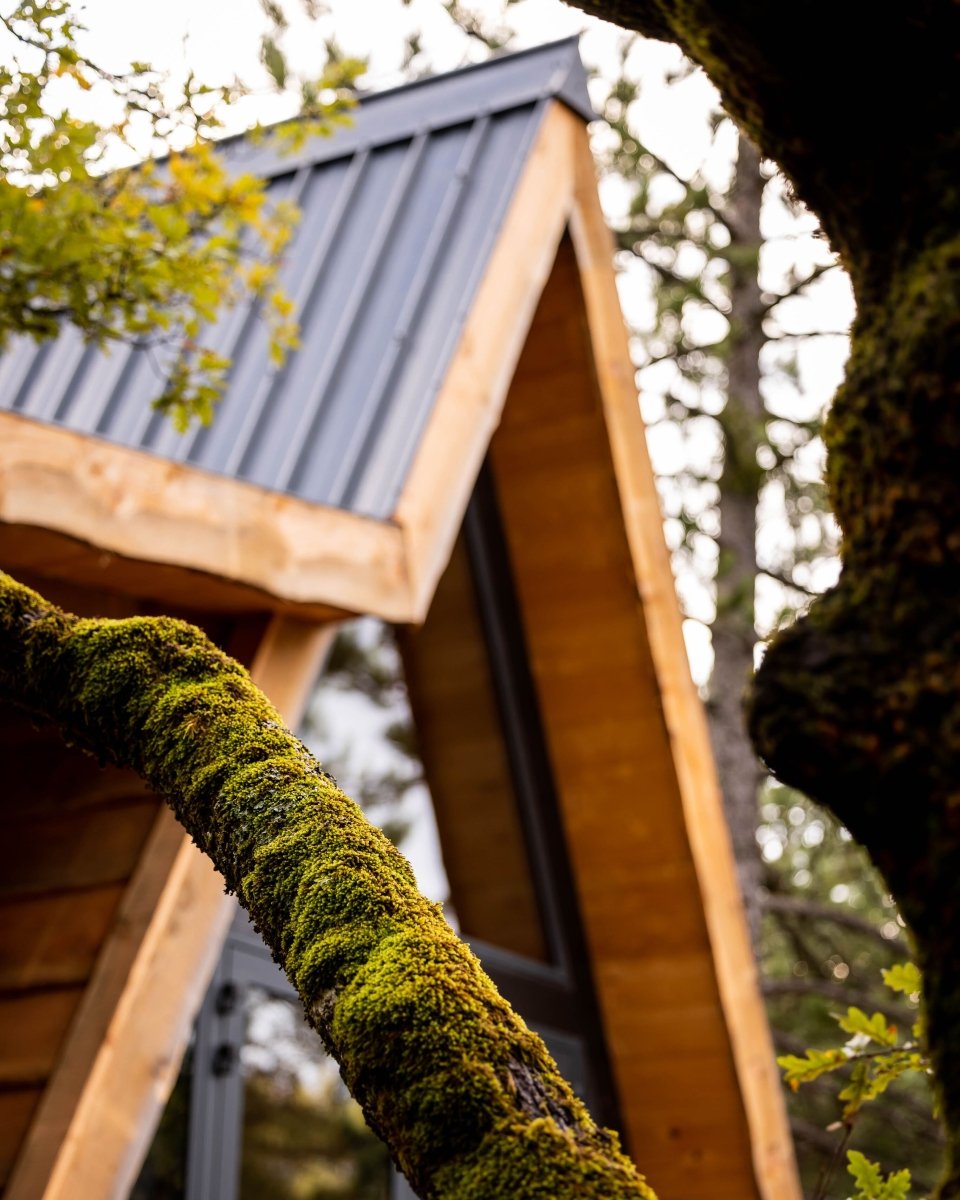 Cabane dans les arbres avec jacuzzi privatif - Petite Buëch - Love’nSpa - weekend en amoureux, love rooms avec spa ou jacuzzi privatif14 de Cabane dans les arbres avec jacuzzi privatif - Petite Buëch
