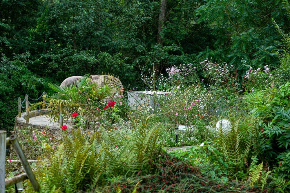 Charme au fil de l'eau - Baiser Volé - Love’nSpa - weekend en amoureux, love rooms avec spa ou jacuzzi privatif7 de Charme au fil de l'eau - Baiser Volé
