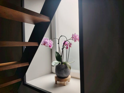 DELIV' LOVE - Love’nSpa - weekend en amoureux, love rooms avec spa ou jacuzzi privatif