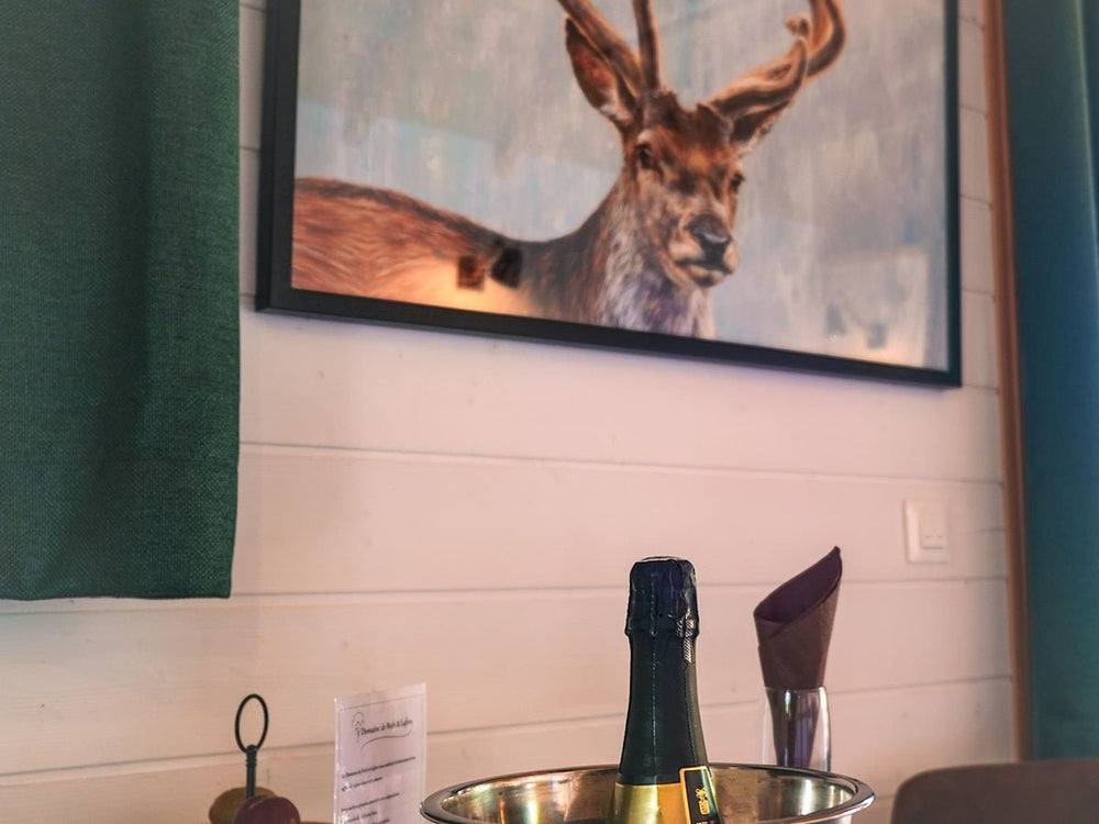 Domaine de Pech et Lafon - Cabane Spa Daims - Love’nSpa - weekend en amoureux, love rooms avec spa ou jacuzzi privatif6 de Domaine de Pech et Lafon - Cabane Spa Daims
