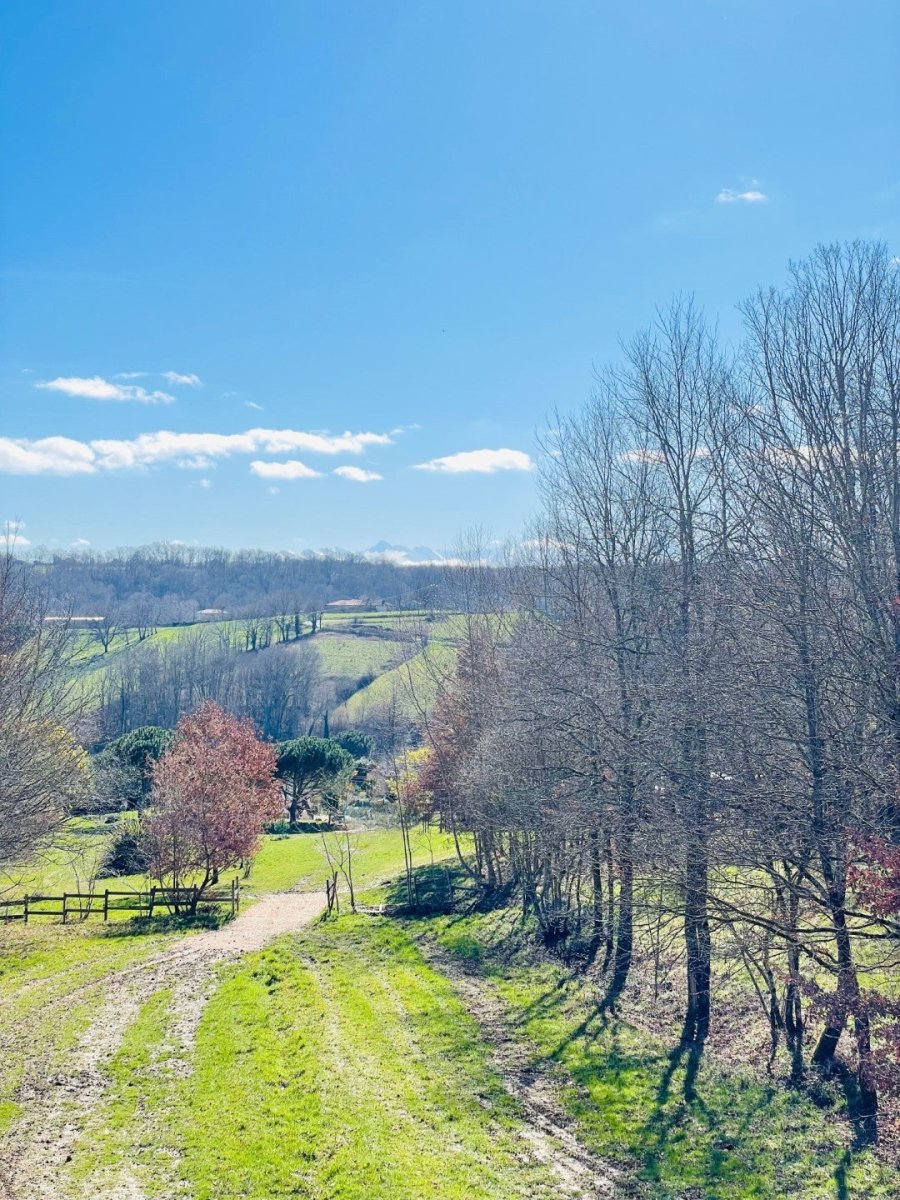 Feu de Foret - Love’nSpa - weekend en amoureux, love rooms avec spa ou jacuzzi privatif7 de Forest Fire
