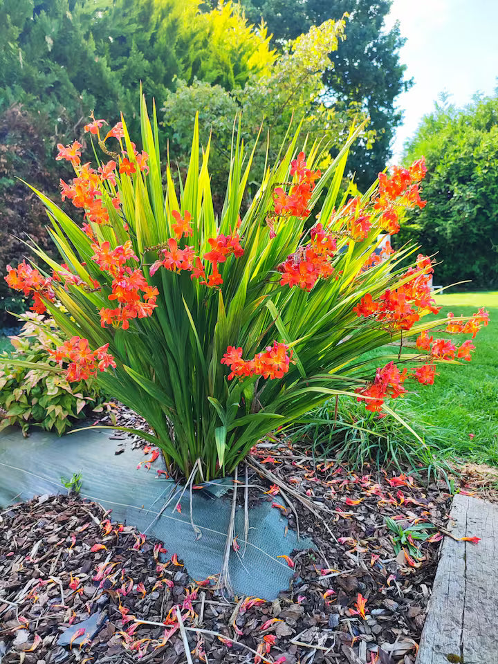 Jacuzzi XXL+ Charme et Caractères de campagne - Love’nSpa - weekend en amoureux, love rooms avec spa ou jacuzzi privatif13 de Jacuzzi XXL+ Charme et Caractères de campagne
