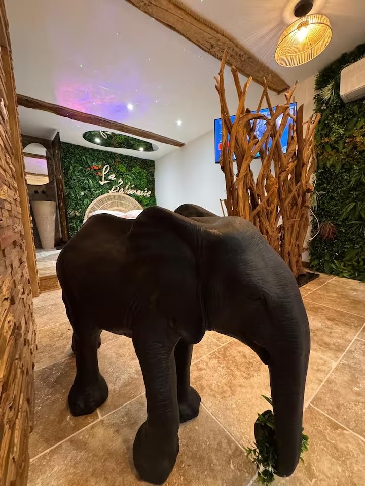 La Balinaise - Love’nSpa - weekend en amoureux, love rooms avec spa ou jacuzzi privatif4 de La Balinaise
