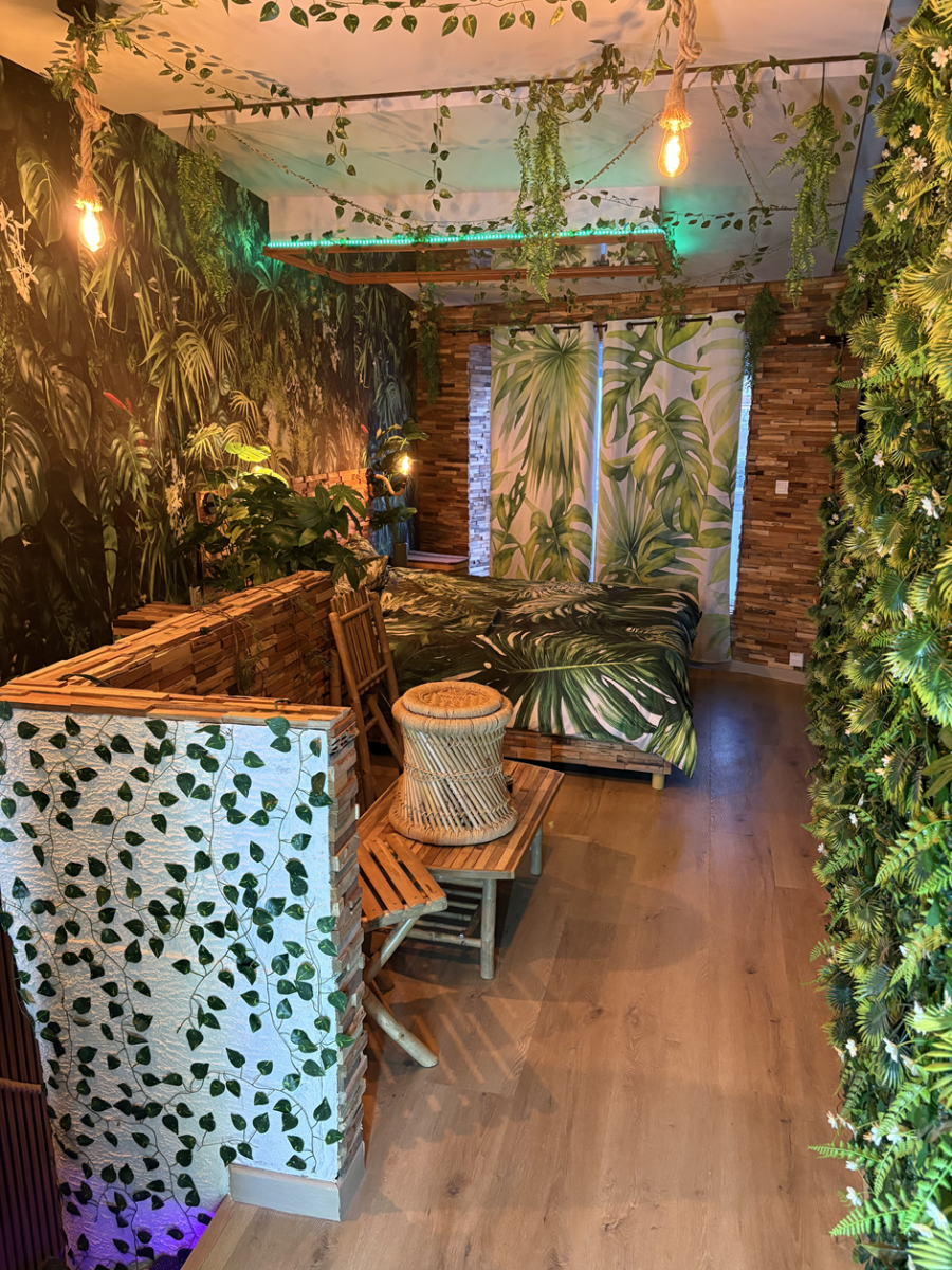 La Jungleroom - Love’nSpa - weekend en amoureux, love rooms avec spa ou jacuzzi privatif6 de La Jungleroom
