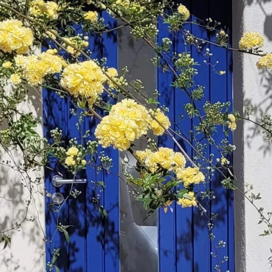 LA PROMENADE SUITE AND SPA - Love’nSpa - weekend en amoureux, love rooms avec spa ou jacuzzi privatif