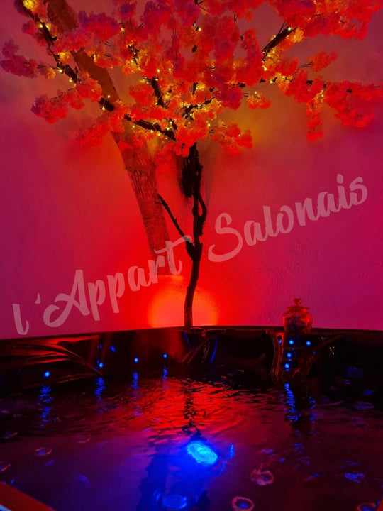 lappart - salonais - Love’nSpa - weekend en amoureux, love rooms avec spa ou jacuzzi privatif