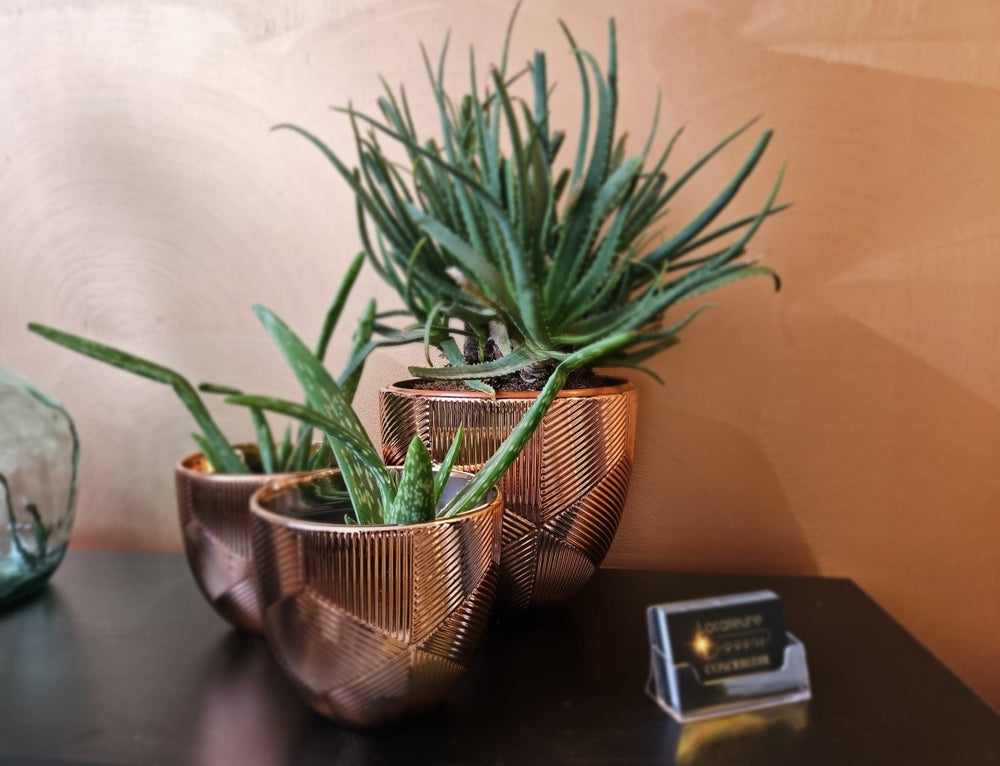 Le Murmure du Cosnier - Love’nSpa - weekend en amoureux, love rooms avec spa ou jacuzzi privatif7 de Le Murmure du Cosnier
