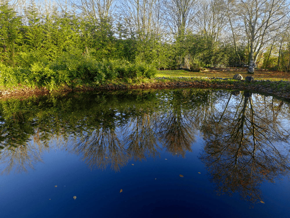 Le Quart D'Heure Américain - Love’nSpa - weekend en amoureux, love rooms avec spa ou jacuzzi privatif25 de Le Quart D'Heure Américain
