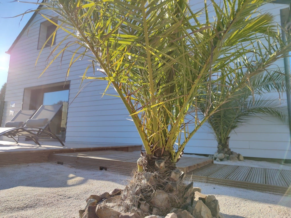 Le Romantik' - Love’nSpa - weekend en amoureux, love rooms avec spa ou jacuzzi privatif7 de Le Romantik'
