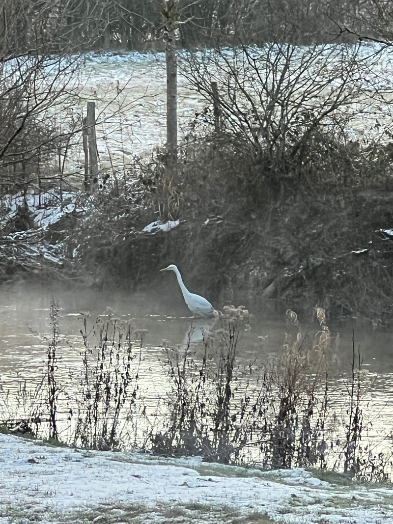 Le Pont de La Roche - Le Cube2 de Le Pont de La Roche - Le Cube
