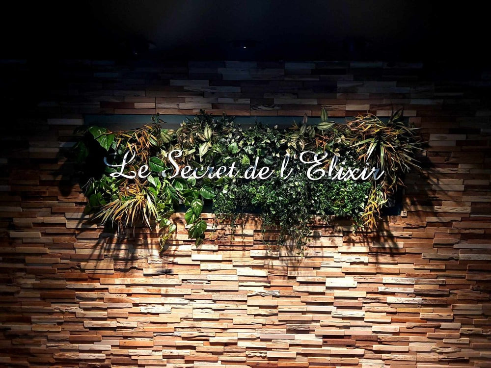 L'Elixir Vitré - Le secret de l'Elixir - Love’nSpa - weekend en amoureux, love rooms avec spa ou jacuzzi privatif12 de L'Elixir Vitré - Le secret de l'Elixir
