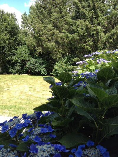 Les Ajoncs - Love’nSpa - weekend en amoureux, love rooms avec spa ou jacuzzi privatif