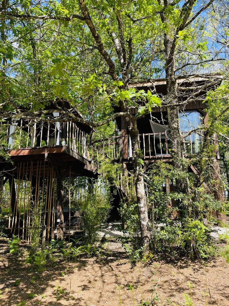 Les Landines - L'O2 de verre et de bois et son spa - Love’nSpa - weekend en amoureux, love rooms avec spa ou jacuzzi privatif4 de Les Landines - L'O2 de verre et de bois et son spa
