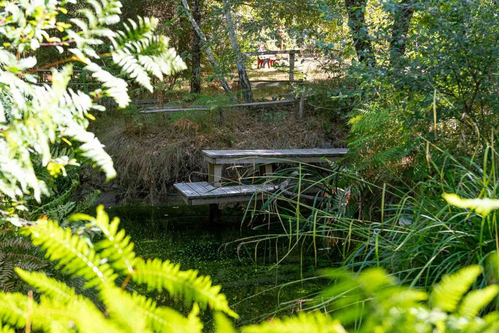 L'Escale Sud Gironde - Love’nSpa - weekend en amoureux, love rooms avec spa ou jacuzzi privatif12 de L'Escale Sud Gironde
