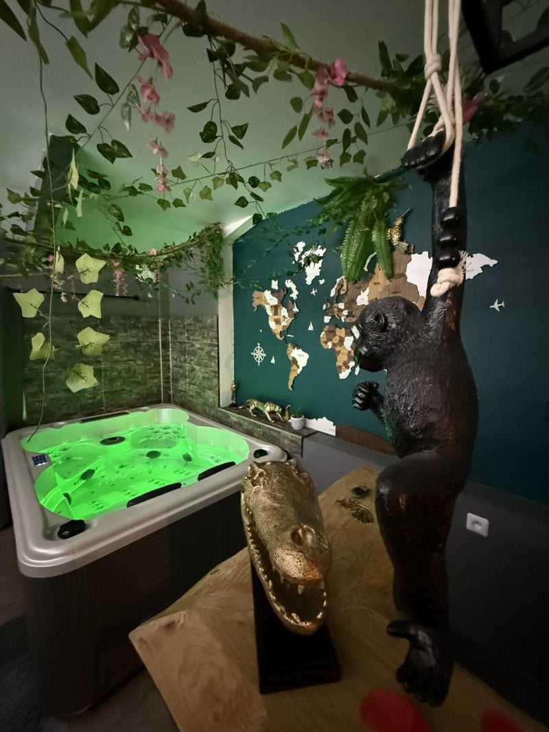 L'Everest Rooms - Love Room Amazone - Love’nSpa - weekend en amoureux, love rooms avec spa ou jacuzzi privatif3 de L'Everest Rooms - Love Room Amazone
