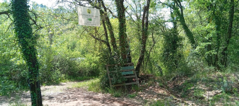 Love Room de la Forêt - Love’nSpa - weekend en amoureux, love rooms avec spa ou jacuzzi privatif14 de Love Room de la Forêt
