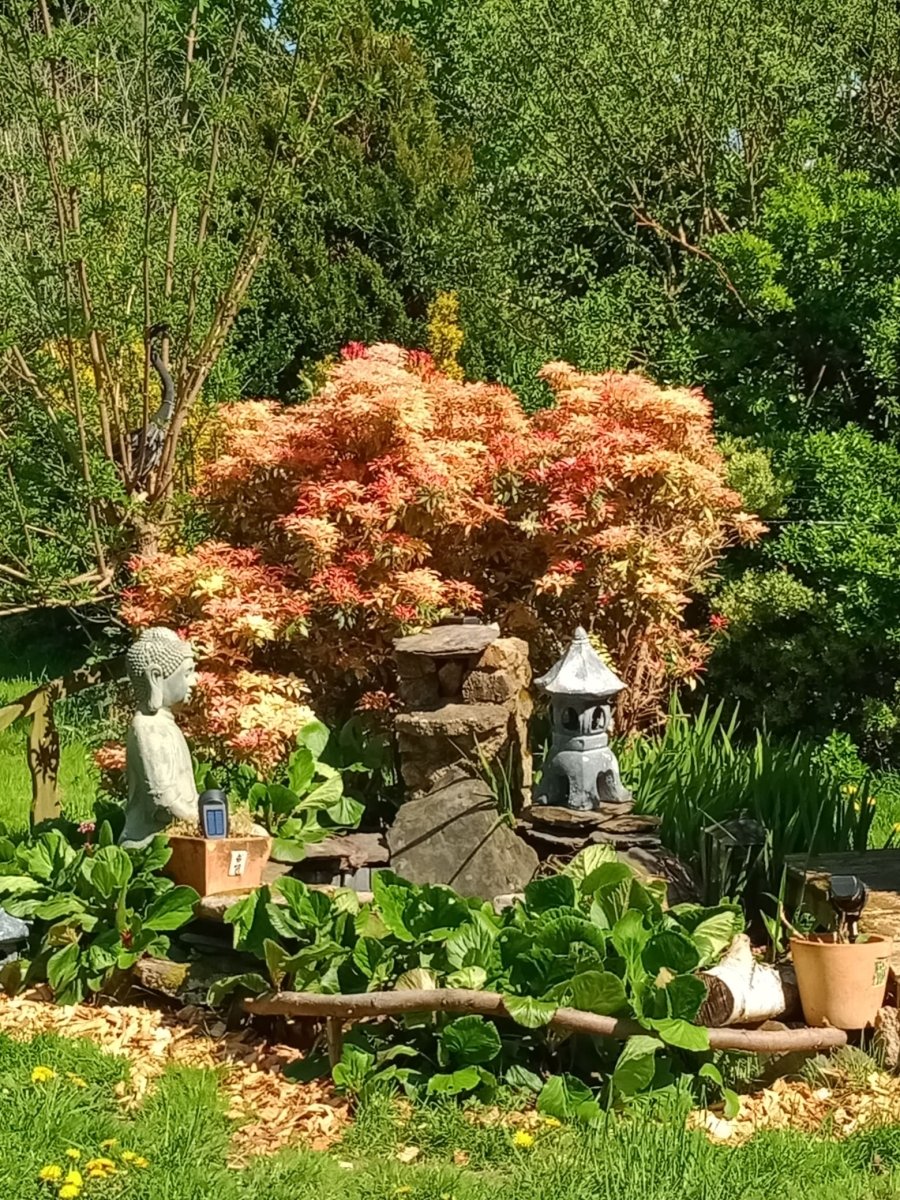 Manoir du Grand Chêne - Suite Quintessence - Love’nSpa - weekend en amoureux, love rooms avec spa ou jacuzzi privatif13 de Manoir du Grand Chêne - Suite Quintessence
