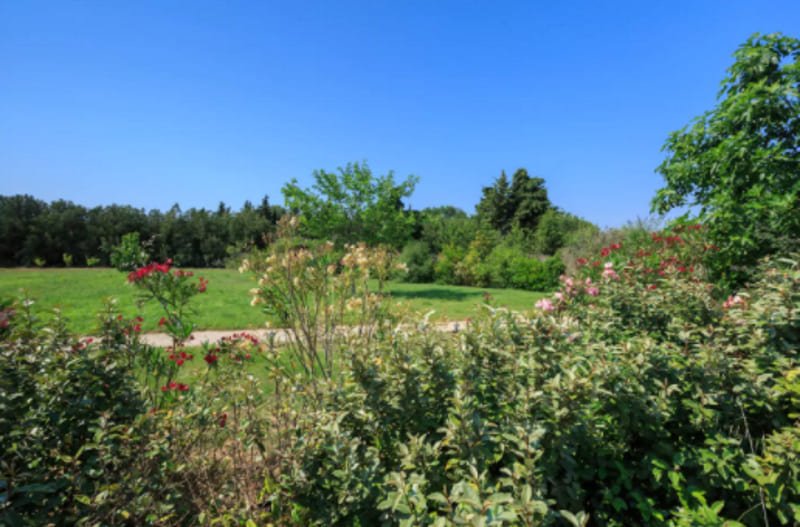 Une Parenthèse pour Deux - Chambre Tentation Dorée - Love’nSpa - weekend en amoureux, love rooms avec spa ou jacuzzi privatif14 de Une Parenthèse pour Deux - Chambre Tentation Dorée
