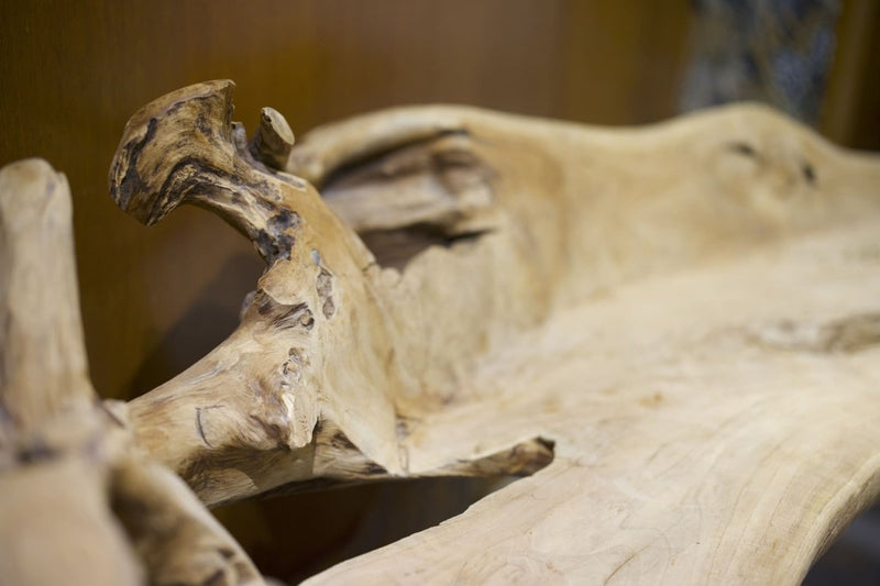 VIP Paris Yacht hôtel - Suite Nature - Love’nSpa - weekend en amoureux, love rooms avec spa ou jacuzzi privatif1 de VIP Paris Yacht hôtel - Suite Nature
