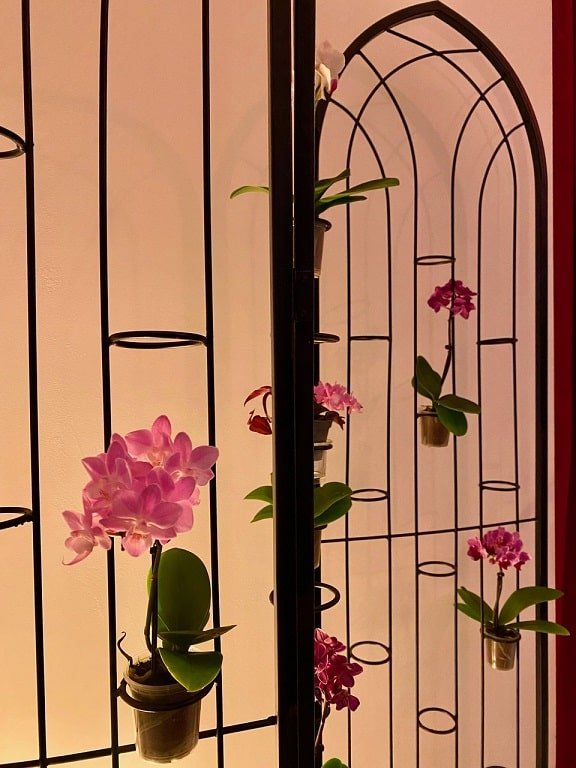 Amor & Sens - Love’nSpa - weekend en amoureux, love rooms avec spa ou jacuzzi privatif6 de Amor & Sens
