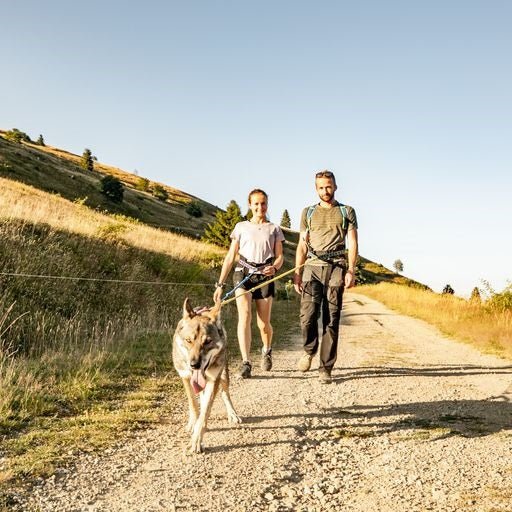 Gîte La Patte Nordic - La Mine de Buck & Spa - Love’nSpa - weekend en amoureux, love rooms avec spa ou jacuzzi privatif10 de Gîte La Patte Nordic - La Mine de Buck & Spa
