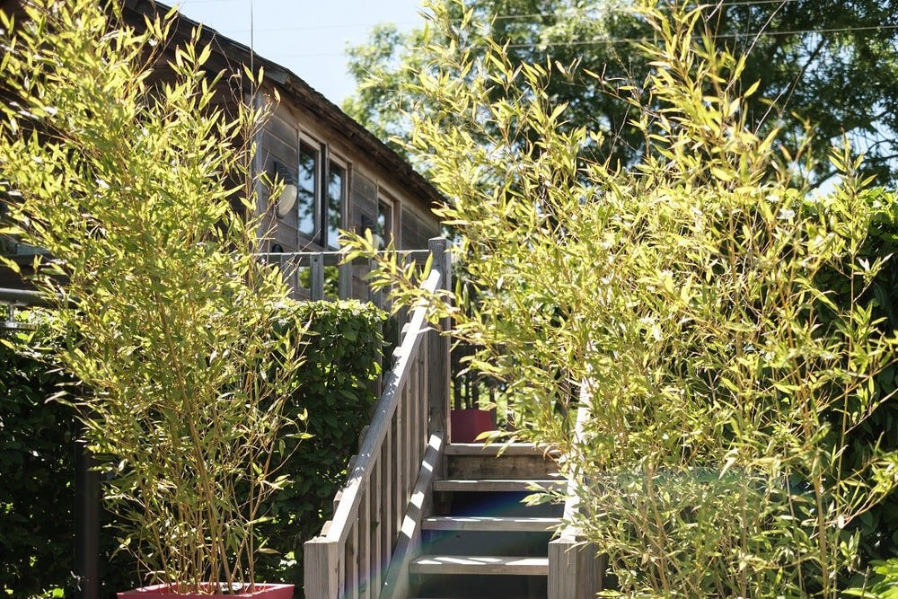 Le Domaine des Prés Verts - Le Cabanon - Love’nSpa - weekend en amoureux, love rooms avec spa ou jacuzzi privatif11 de Le Domaine des Prés Verts - Le Cabanon
