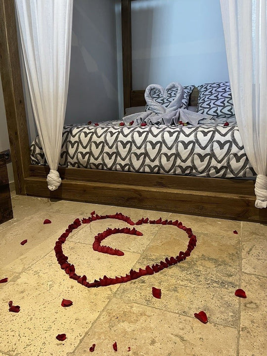 L’Excellence Avignon - Love’nSpa - weekend en amoureux, love rooms avec spa ou jacuzzi privatif