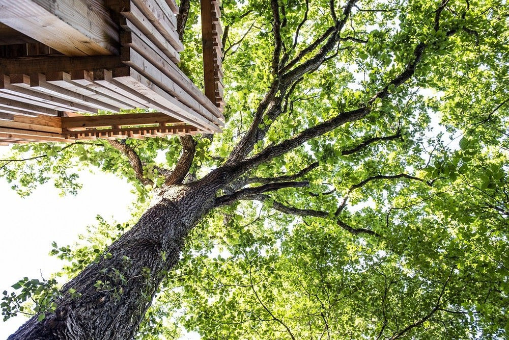 Loire Valley Lodge - Lodges design avec jacuzzi privé en terrasse - O'plumes - Love’nSpa - weekend en amoureux, love rooms avec spa ou jacuzzi privatif4 de Loire Valley Lodge - Lodges design avec jacuzzi privé en terrasse - O'plumes
